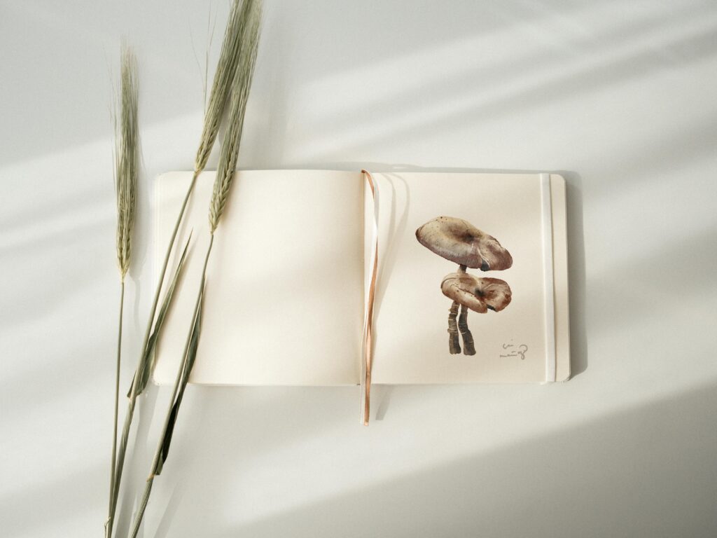 Open sketchbook with watercolor mushroom artwork and natural plant beside it.