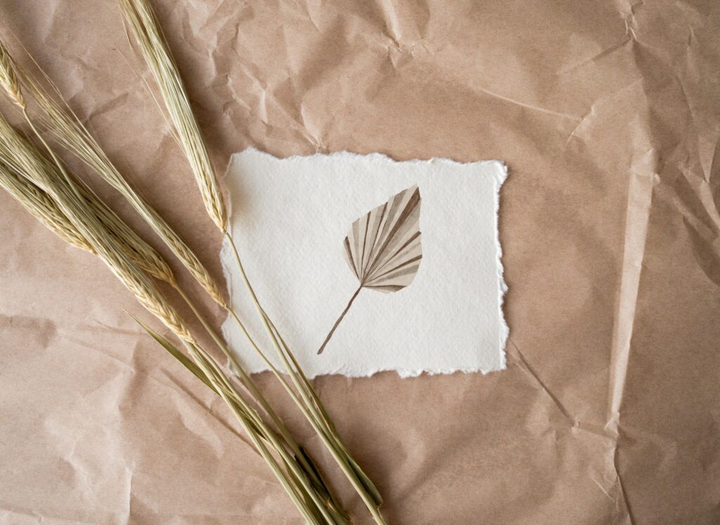 Artistic composition with dried leaf and grass on textured paper background.